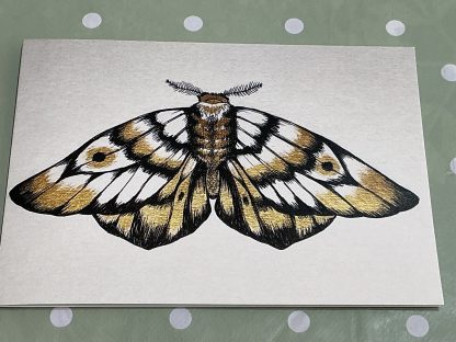 moth gold