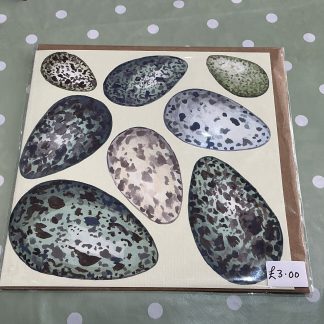 corvid bird eggs card