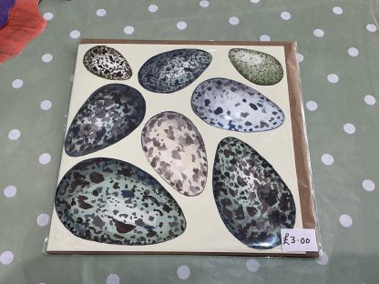 corvid bird eggs card