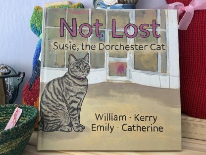not lost book
