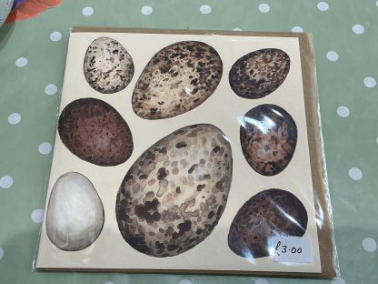 prey bird eggs card
