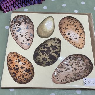 game bird eggs card
