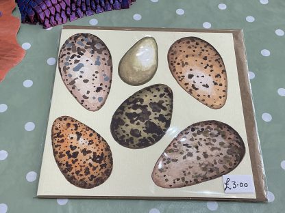 game bird eggs card