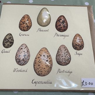 game bird eggs with names card