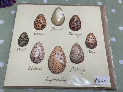 game bird eggs with names card