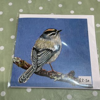 card goldcrest