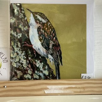 card treecreeper