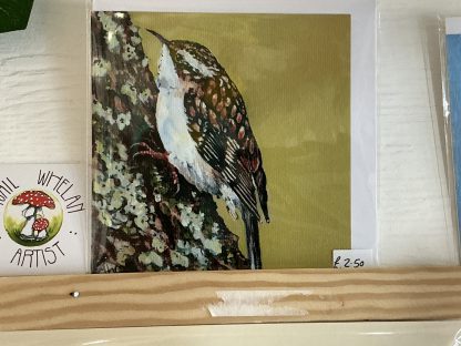 card treecreeper