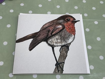 robin