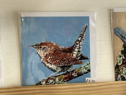card wren