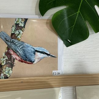 card nuthatch