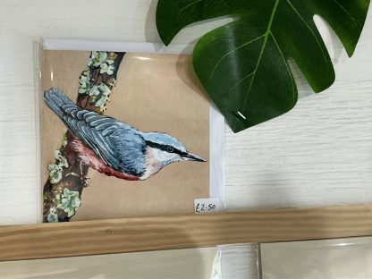 card nuthatch