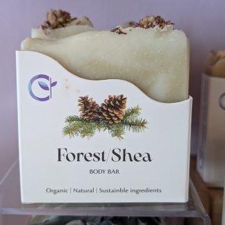body bar forest