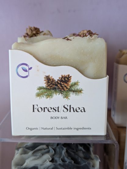 body bar forest
