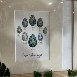 print corvid bird eggs
