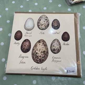 prey bird eggs with name card