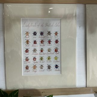 print ladybirds