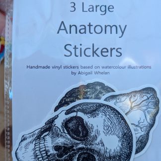 anotomny large stickers