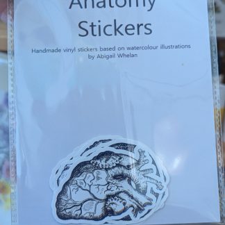 anotomny small stickers