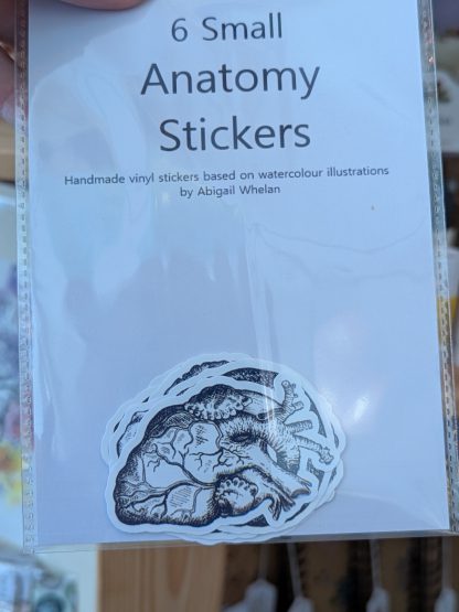 anotomny small stickers