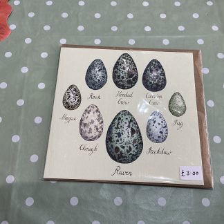 corvid bird eggs with names card