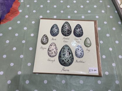 corvid bird eggs with names card