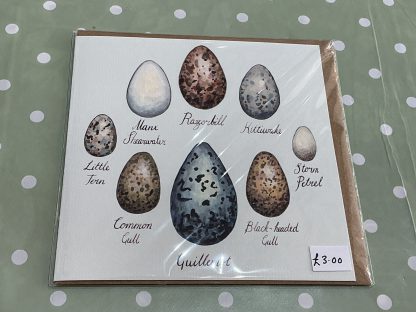 seabird eggs with names card