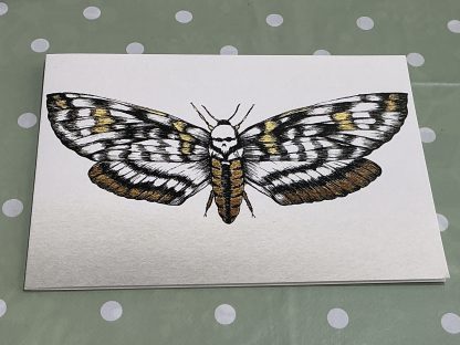 death moth
