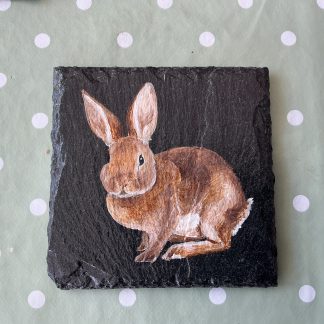 coaster bunny