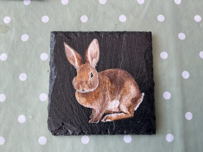 coaster bunny