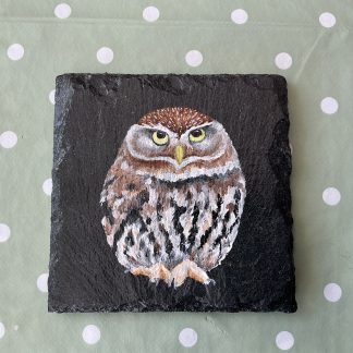 coaster owl