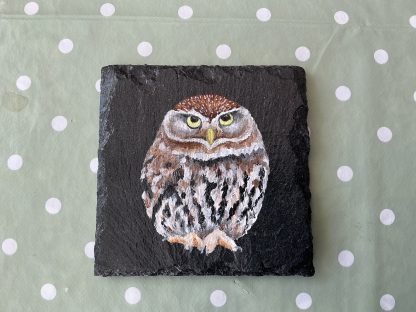 coaster owl