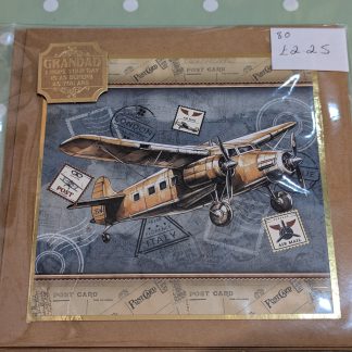 Grandad plane greeting card