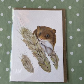 mouse card