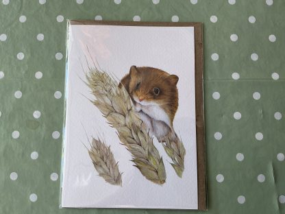 mouse card