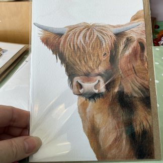 cow card