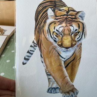 tiger card