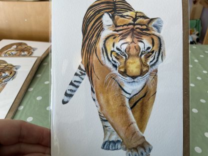 tiger card